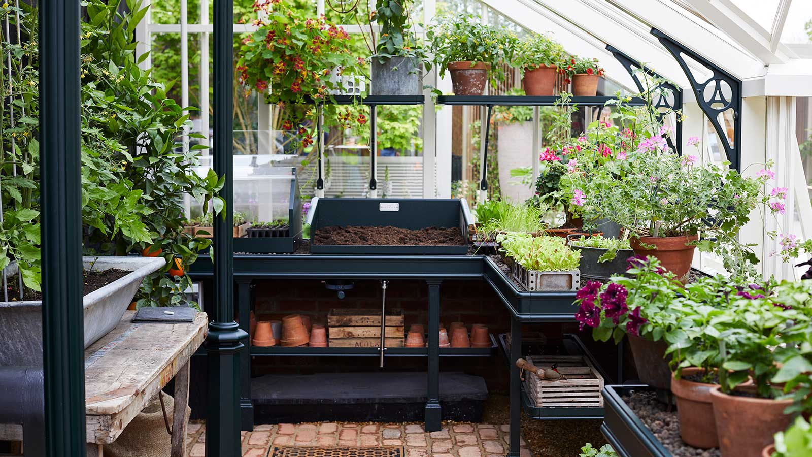 7 Genius Gardening Hacks to Make Your Plants Thrive Effortlessly